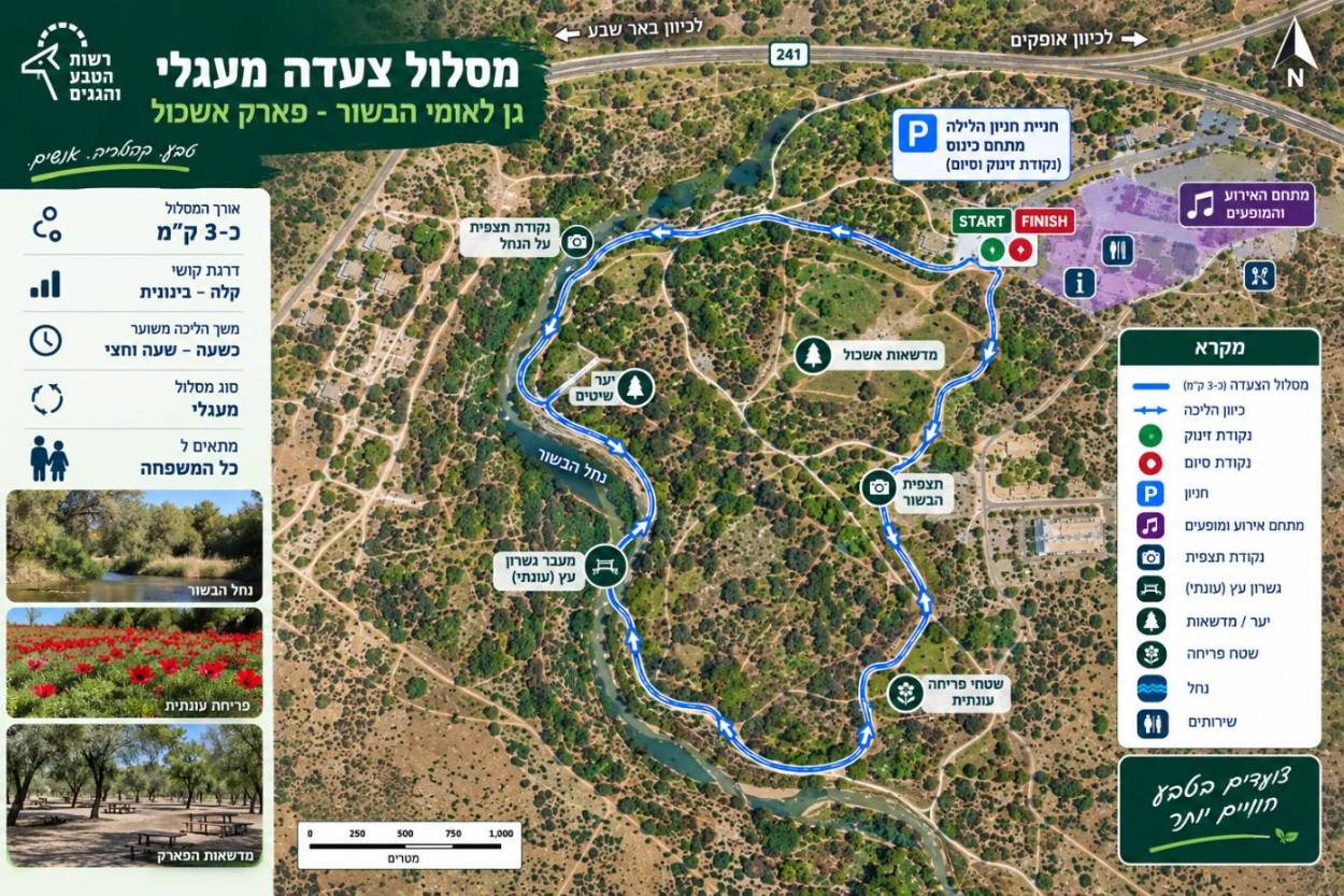 מרכז - מפת אזור
